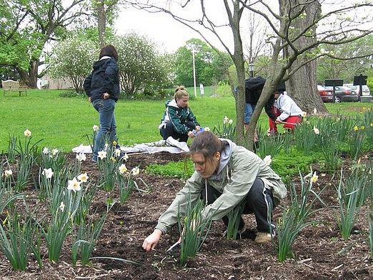 Welche Blumen werden im Herbst gepflanzt?