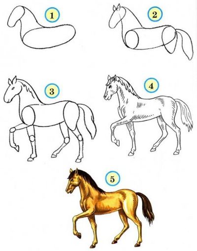 Wie zeichne ein Pferd mit einem Bleistift?