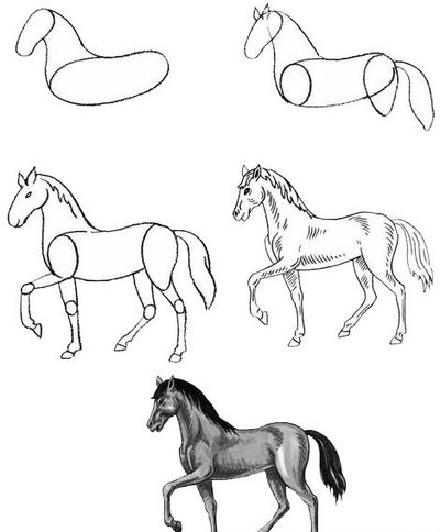 Wie zeichne ein Pferd in Etappen?