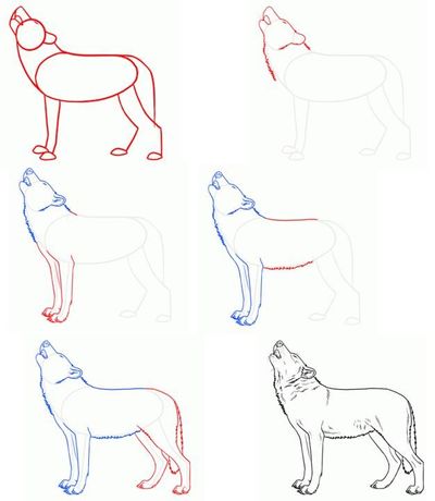 Wie zeichne ich einen Wolf mit einem Bleistift?