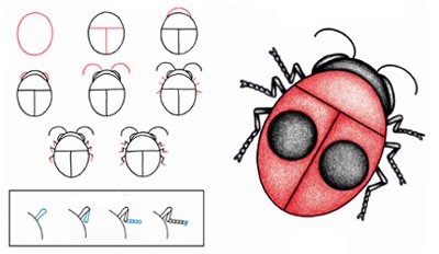 Wie zeichne ich einen Käfer?