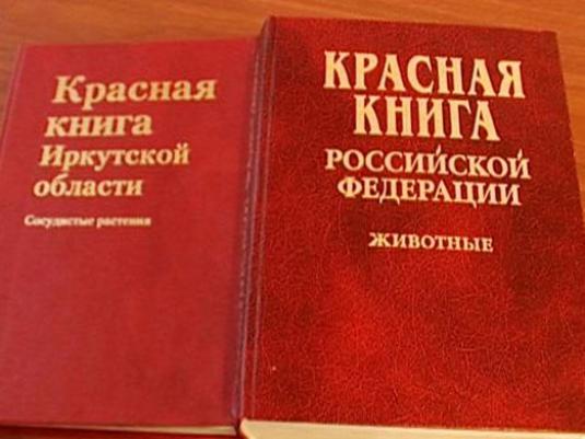 Was ist das Rote Buch?