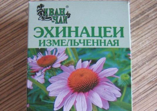 Wie nehme ich Echinacea?