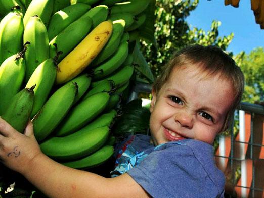 Kann ein Kind eine Banane haben?